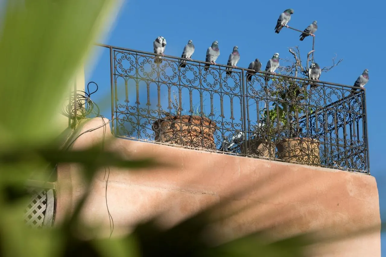 Riad El Maktoub Marrakesh